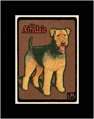 THE AIREDALE #1