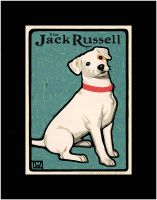 THE JACK RUSSELL