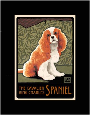 THE CAVALIER KING CHARLES SPANIEL #1