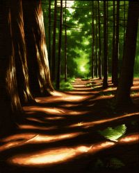 FOREST PATH