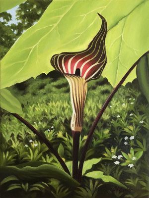 JACK IN THE PULPIT #1
