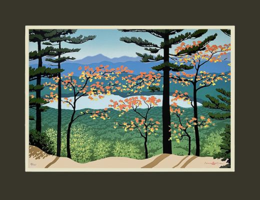 MOUNTAIN VIEW #2