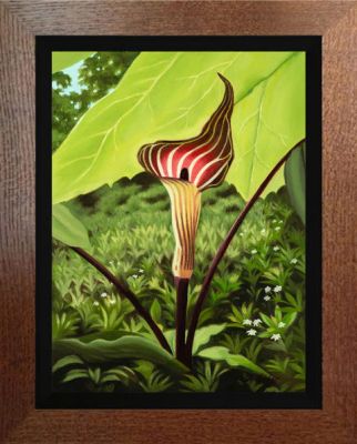 JACK IN THE PULPIT #3
