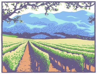 NAPA VINEYARD trial proof - SOLD