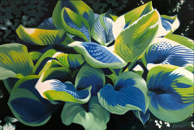 Hosta