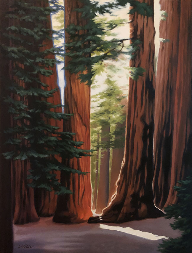 Sequoias
